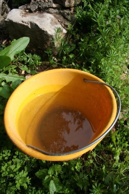 Bucket of rain water